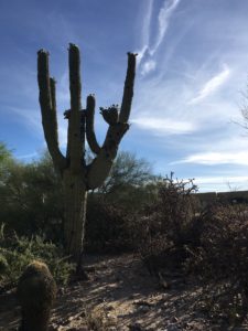 hiking at canyon ranch