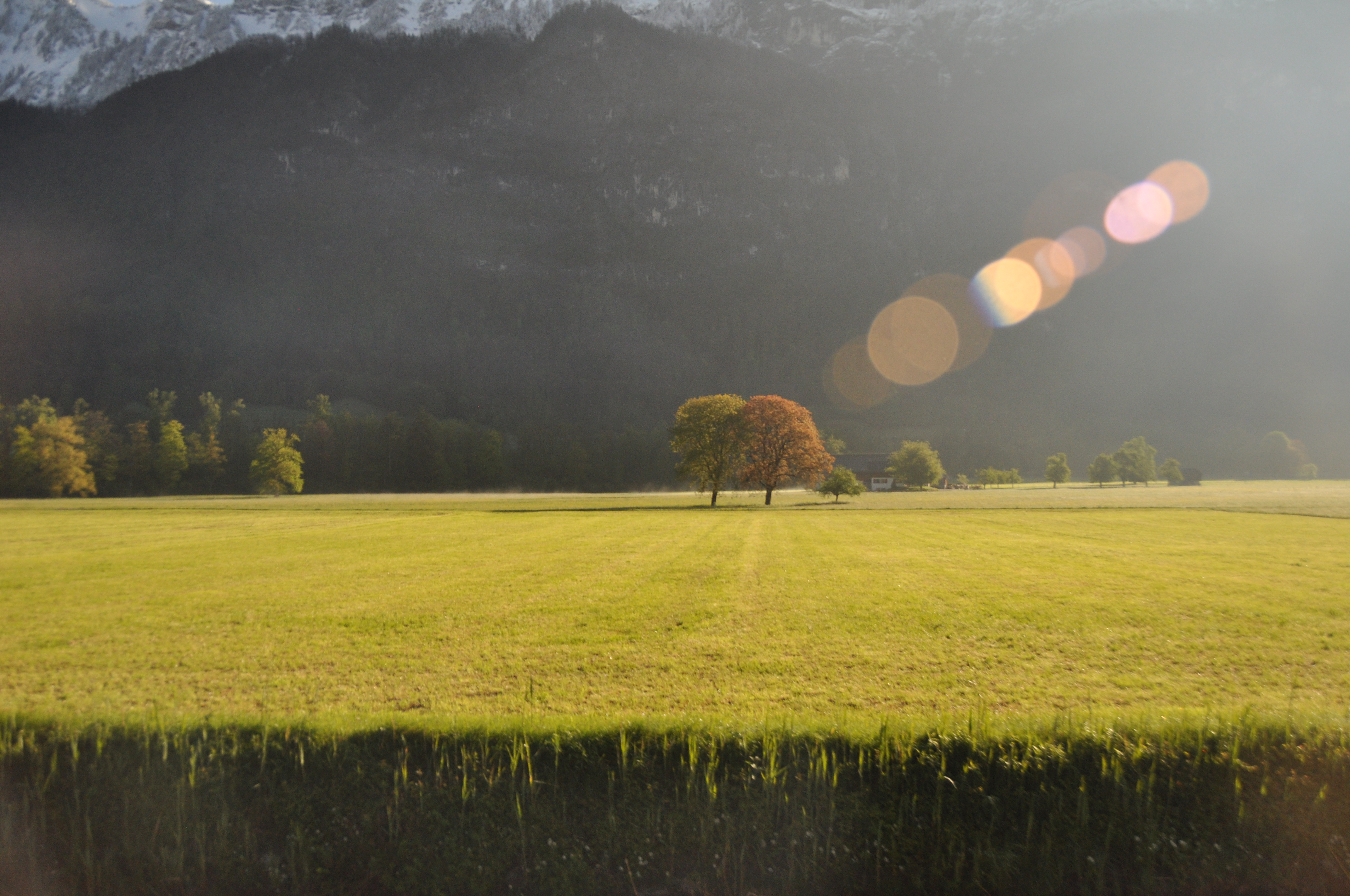 bernina express-swiss-train-travel