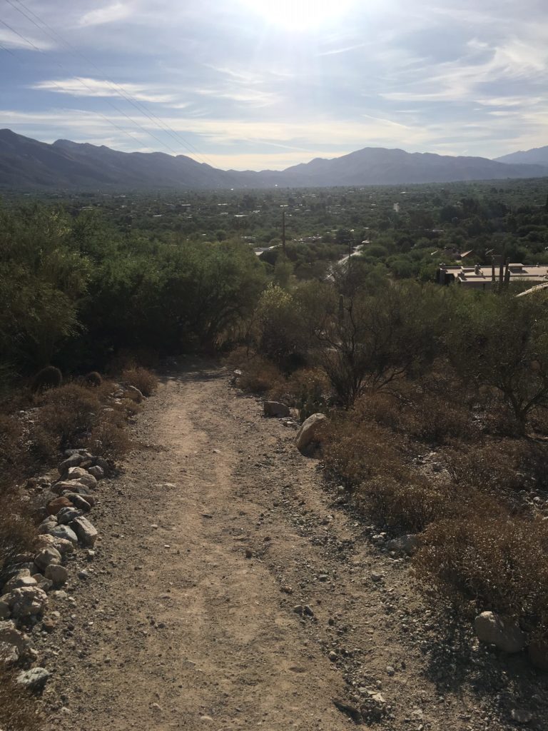 hiking on a trial at canyon ranch in tuscon, az