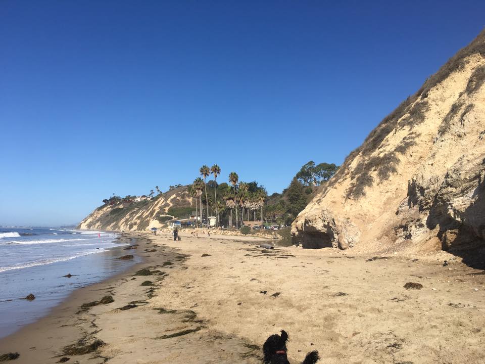 santa barbara dog beach-dog-friendly-california