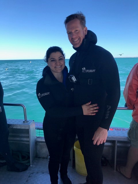 Shark Cage Diving - South Africa