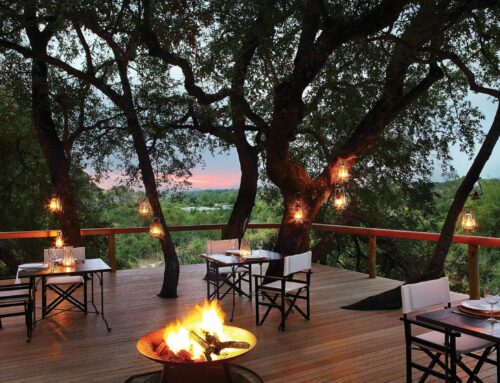 Londolozi Game Reserve