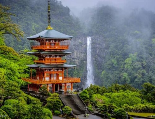 Spotlight: Japan