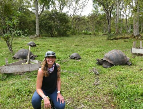 What It’s Really Like to Explore the Galápagos